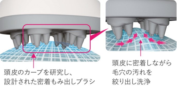 密着揉み出しブラシのカーブ